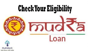 Mudra Loan eligibility test